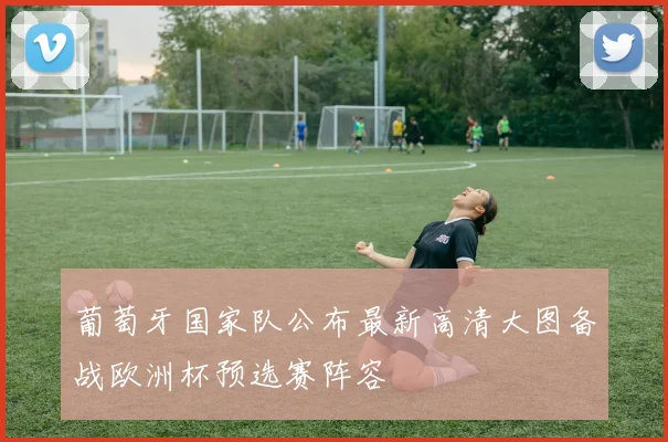 葡萄牙国家队公布最新高清大图备战欧洲杯预选赛阵容