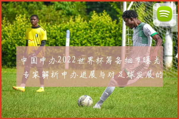 中国申办2022世界杯筹备细节曝光 专家解析申办进展与对足球发展的影响
