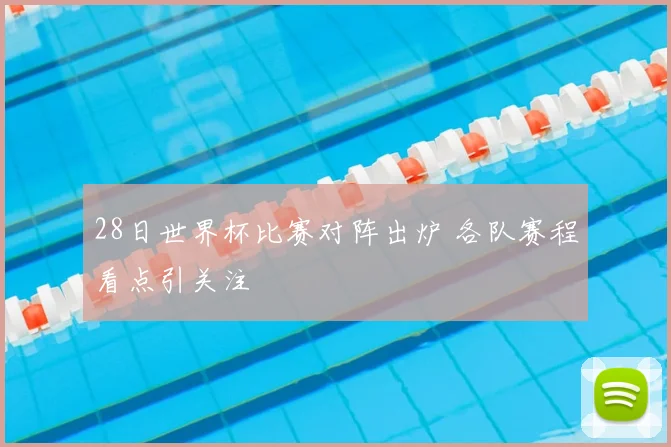28日世界杯比赛对阵出炉 各队赛程看点引关注