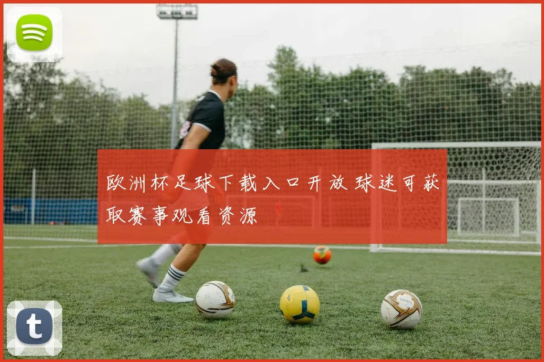 欧洲杯足球下载入口开放 球迷可获取赛事观看资源