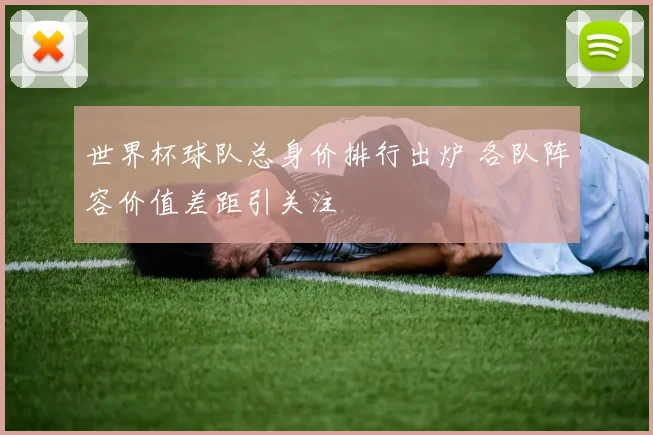 世界杯球队总身价排行出炉 各队阵容价值差距引关注