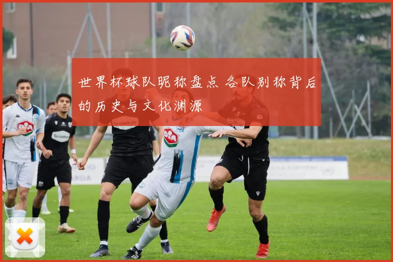 世界杯球队昵称盘点 各队别称背后的历史与文化渊源