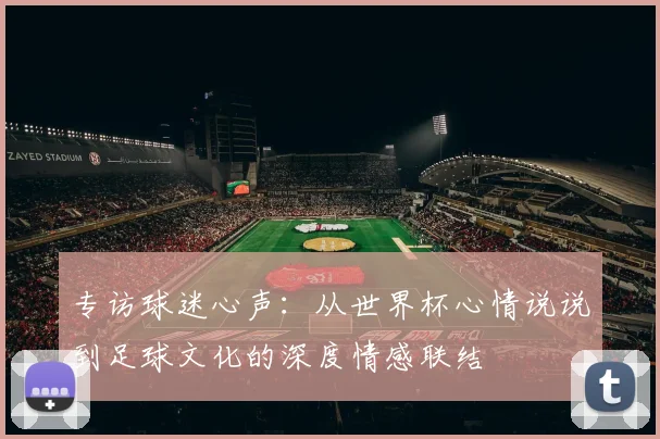 专访球迷心声：从世界杯心情说说到足球文化的深度情感联结